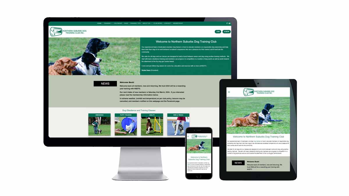 north shore web design